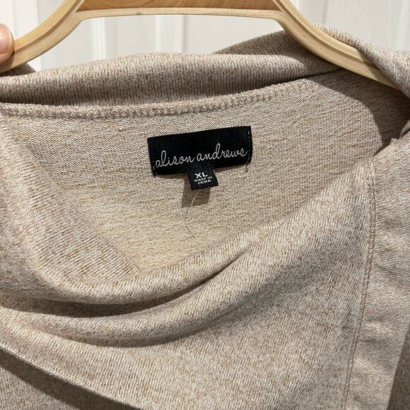 Alison Andrew’s Women’s Tan Button Sweater Size XL - Picture 4 of 10